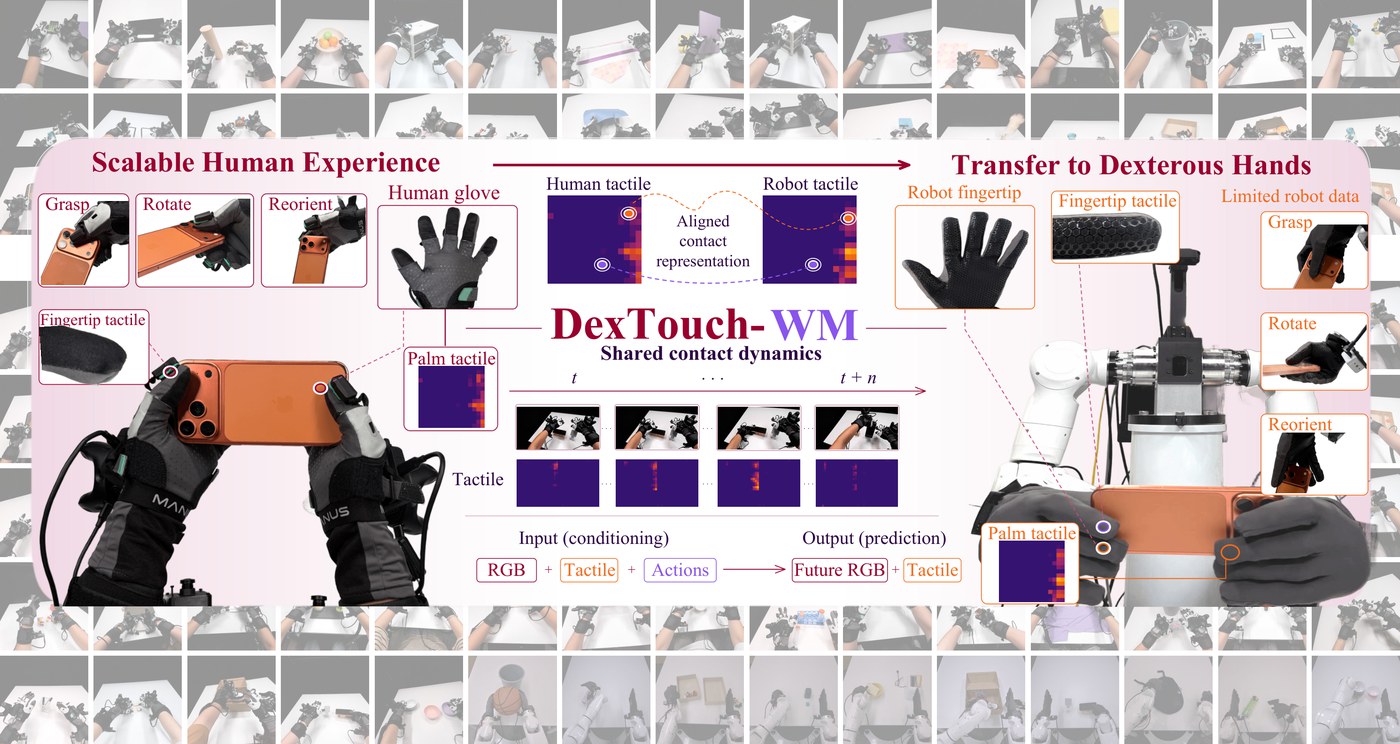 DexTouch-WM human-to-robot tactile world model overview